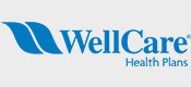 health_insurance_logo_wellcare